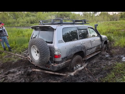 Видео: Как едет Land Cruiser 105 по болоту? Lexus LX 470 vs Land Cruiser 100 vs Terrano vs Hiace. OffRoad