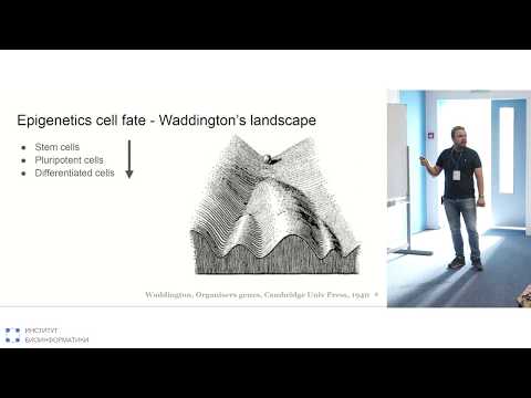Видео: Эпигенетическая регуляция и старение | Олег Шпынов, JetBrains Research