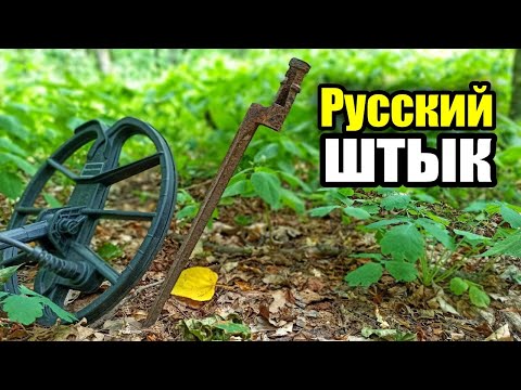 Видео: Кровавая находка в глухом лесу. Коп с МД Simplex plus.