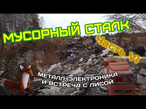 Видео: Мусорный сталк (повстречал лису, нашел седло и многое другое) . Часть VI.