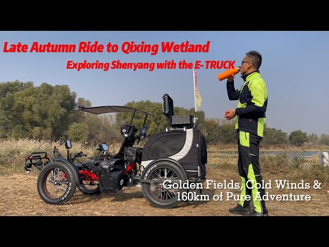 Видео: Поездка поздней осенью в болота Цисин | 160 км золотых полей и прохладного ветра на электрогрузов...