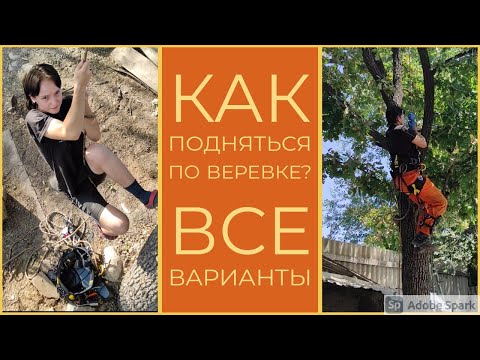 Видео: Как подняться по верёвке? Жумарим! Что делать если нет жумара? Всё способы подъёма по веревке