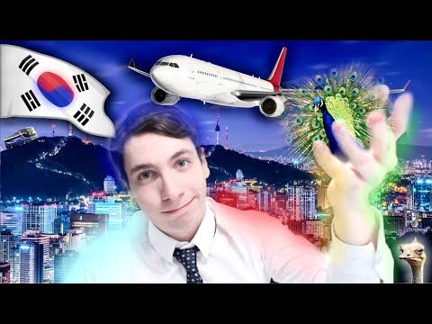 Видео: ВЛОГ #5 ► ЮЖНАЯ КОРЕЯ