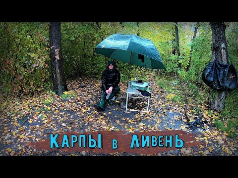 Видео: Ловля диких карпов в ливень на Днепре. Рыбалка на макуху.