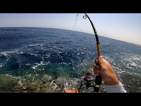 Видео: Рыбалка в Египте! ПОДВОДНАЯ ЛОДКА и ПАРОВОЗ!