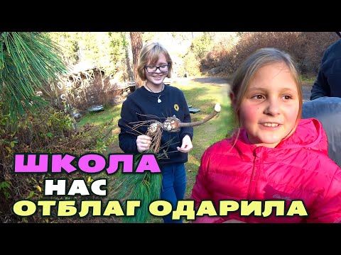 Видео: Опять строгий карантин в Америке!!!  Необычный праздник в школе/ Почему американцы не едят хурму