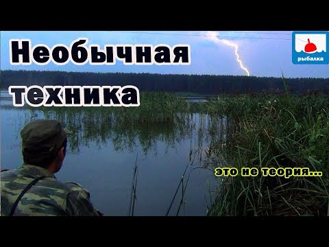 Видео: Как поймать линя  - особенная технология от Алексея - это не теория