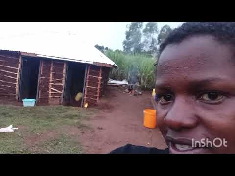 Видео: Стирка и глажка одежды