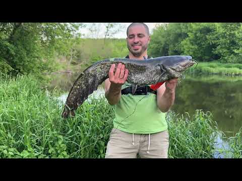 Видео: Звуки рыбалки на реке ASMR