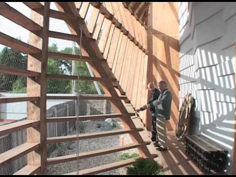 Видео: Тотан Кузембаев в программе Проект Мечты с Борисом Уборевичем-Боровским