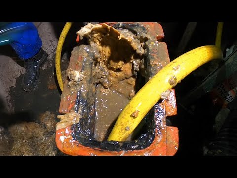 Видео: Kempinger 343. Свежая начинка для пирога с фекалиями слона. От твердого и кремового до тонкого.