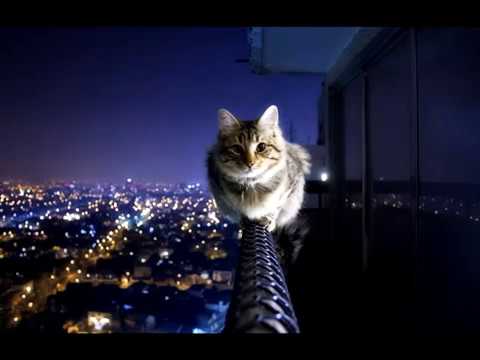 Видео: Zivert - Еще хочу (Sergey Kutsuev Remix)