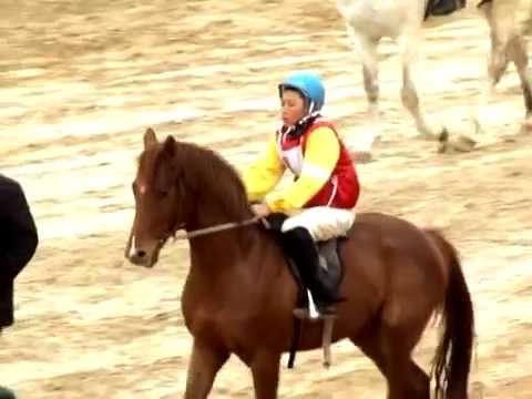 Видео: Лошади Касымова - Победители Навруз 2014
