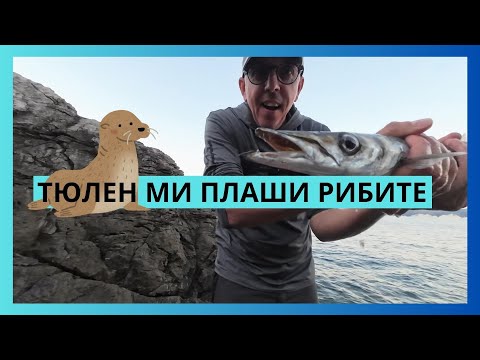 Видео: ТЮЛЕН МИ ПЛАШИ РИБИТЕ