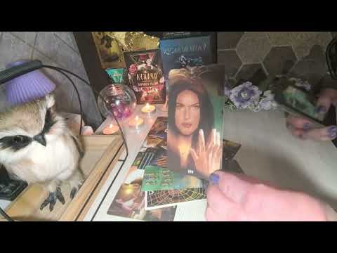 Видео: 🔥🤦Уму непостижимо🔥. Что он хочет Вам сказать, но молчит🔥🤦