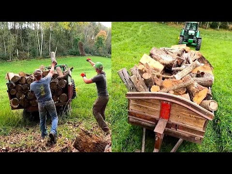 Видео: Перевозим домой огромные партии дров!