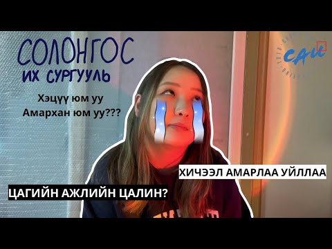 Видео: СОЛОНГОС ИХ СУРГУУЛЬ ямар вэ? СОЛОНГОСЫН ЦАГИЙН АЖИЛ