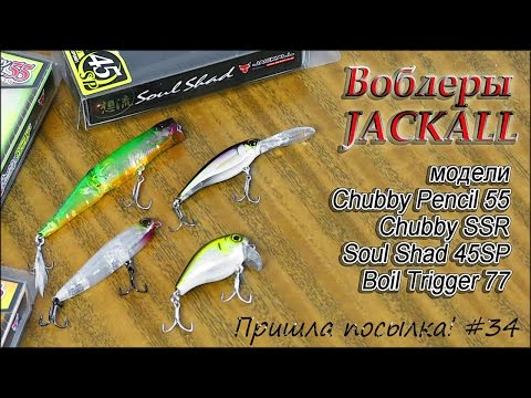 Видео: Воблеры JACKALL - Chubby Pencil 55, Chubby SSR, Soul Shad 45SP, Boil Trigger 77 - Пришла посылка!#34