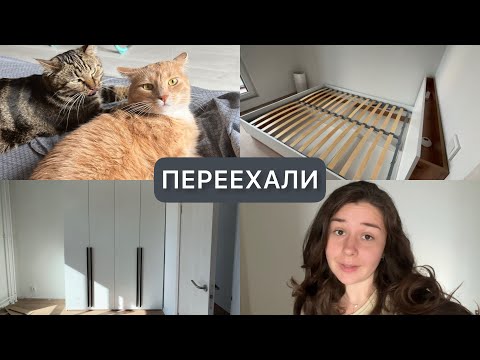 Видео: ПЕРЕЕХАЛИ | Собрали мебель | Новости за неделю