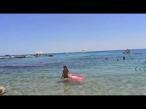 Видео: как добраться на автобусе из Ларнака в Ай Напу и Протарас # дёшево доехать в Протарас и Айа Напу