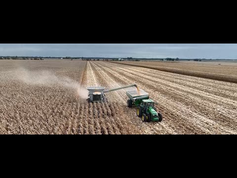 Видео: На этой неделе в агробизнесе, 25 октября 2025 г.