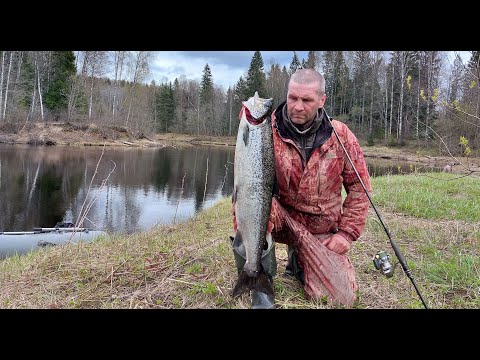 Видео: Погода не летняя. Втягиваемся в сезон. Поклёвки нечастые, но бодрые.