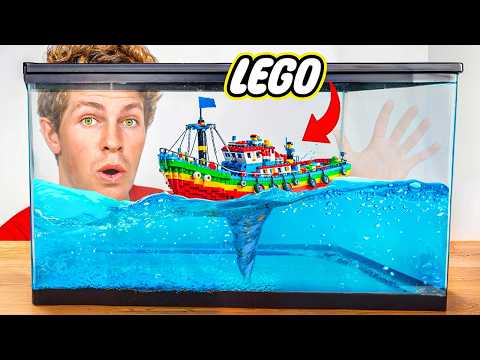 Видео: Собери лучшее Lego и выиграй 1000 долларов!