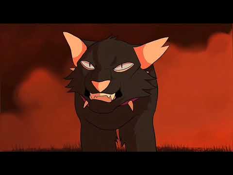 Видео: Коты воители Бич клип - Life in da trash.