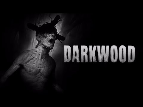 Видео: Darkwood №5 Старий ліс та Банші