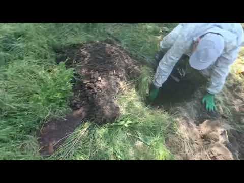 Видео: #Жаркая пора КОПа началась!!!