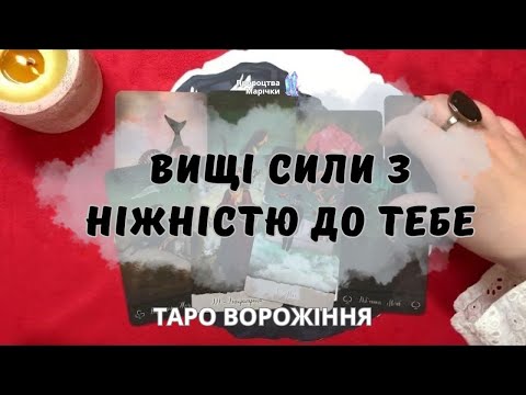 Видео: 🌸ВИЩІ СИЛИ З НІЖНІСТЮ ДО ТЕБЕ🌸 таро ворожіння для тебе @marichka_taro