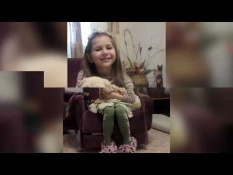 Видео: Дрессировка Шарпея. (Посвящается нашему другу Моне)