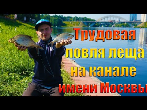 Видео: Трудовая ловля леща на канале имени Москвы