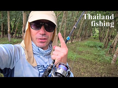 Видео: ОТКРЫВАЮ СЕЗОН ПО ДИКИМ МЕСТАМ ! ТАИЛАНД !