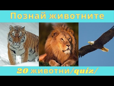 Видео: Познай 20-те животни /Любопитни факти /Quiz/