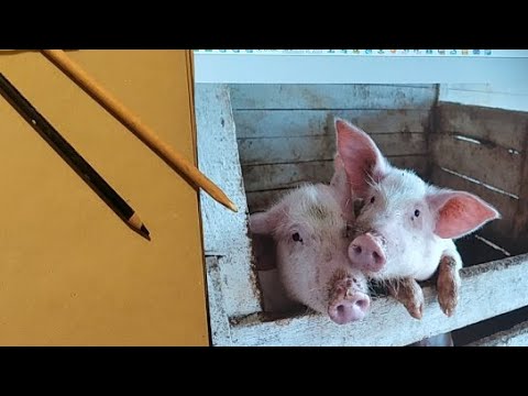 Видео: Эфир Наброски Животных Уголь Мел Крафт Самоизоляция