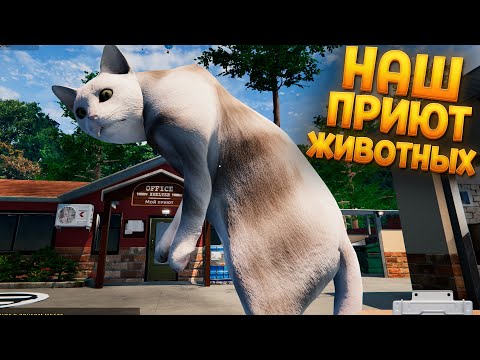 Видео: НАШ ПРИЮТ ЖИВОТНЫХ ( Animal Shelter )