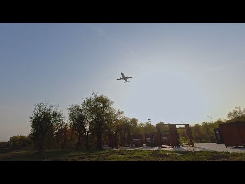 Видео: Роща и далее, 19.10.2023