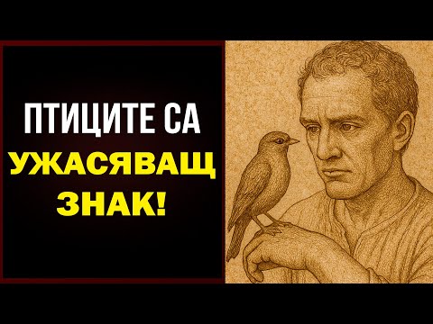 Видео: Когато ПТИЦА кацне до теб без причина… Зенон: това е НЕВИДИМО подравняване