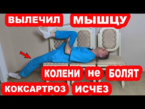 Видео: Вылечи эту мышцу и уйдет БОЛЬ в КОЛЕНЯХ и ТАЗОБЕДРЕННЫХ СУСТАВАХ. КОКСАРТРОЗА не будет НИКОГДА!