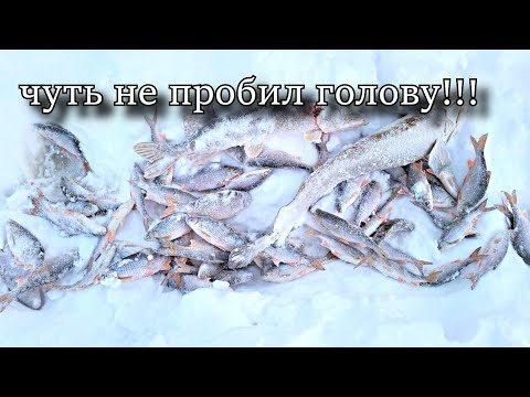 Видео: ЧУТЬ НЕ ПРОБИЛ ГОЛОВУ!!! СУПЕР КЛЁВ ИЛИ КАК Я УСТАЛ ТАСКАТЬ РЫБУ!!!