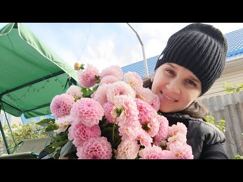 Видео: ОДИН ДЕНЬ ЖИЗНИ В ДЕРЕВНЕ!СТРОИМ НОЧЬЮ,УСПЕТЬ ДО ХОЛОДОВ!ВСЁ СТАНЕТ ЛУЧШЕ!