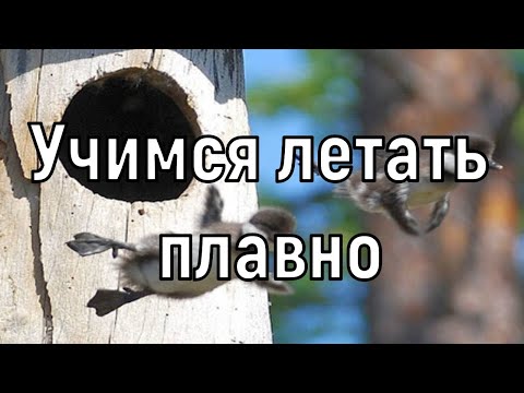 Видео: Учимся летать плавно на квадрокоптере