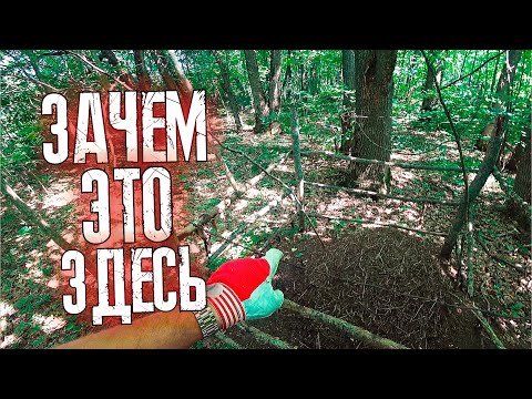 Видео: НАШЁЛ ЭТО НА КОПЕ металла В ЛЕСУ !!!