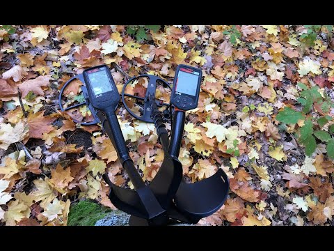 Видео: Сравнение металлодетекторов  Quest Q 40 - Quest X 10