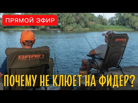 Видео: Почему не клюет? Секреты ловли на фидер. Прямой эфир