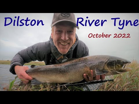 Видео: Salmon Safari III: Вся экипировка, понятия не имею!