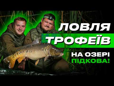 Видео: 🎣 РИБОЛОВЛЯ НА КОРОПА з Ігорем Пацерою та Іваном Калініченко! Поради, лайфхаки та трофеї