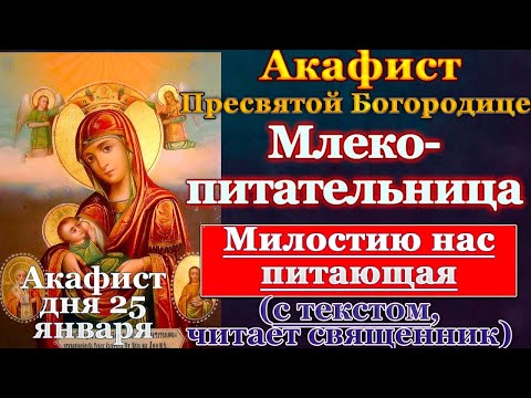 Видео: Акафист Пресвятей Богородице в честь иконы Ея, именуемыя Млекопитательница, молитва Божией Матери