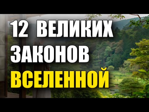 Видео: ✨ Эти 12 законов помогут тебе получать всё, о чём мечтаешь! (Проверь сам!)